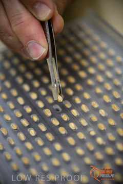 VITERRA 2013 / VITERRA_LABS_292