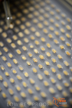 VITERRA 2013 / VITERRA_LABS_295