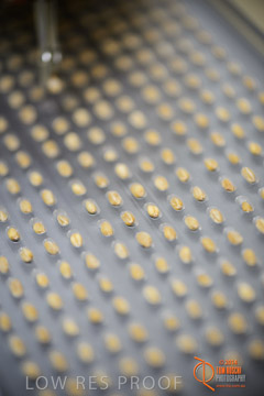 VITERRA 2013 / VITERRA_LABS_299