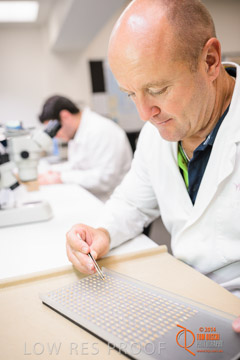 VITERRA 2013 / VITERRA_LABS_312