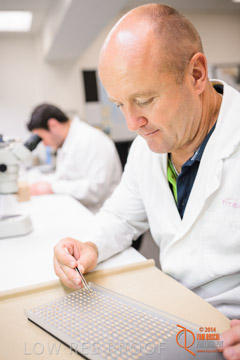 VITERRA 2013 / VITERRA_LABS_314