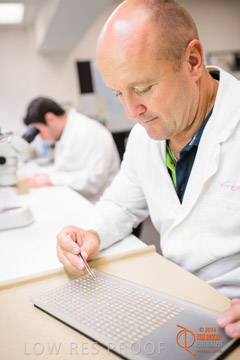 VITERRA 2013 / VITERRA_LABS_316