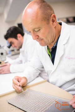 VITERRA 2013 / VITERRA_LABS_323