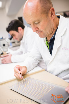 VITERRA 2013 / VITERRA_LABS_324