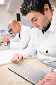 VITERRA 2013 / VITERRA_LABS_330