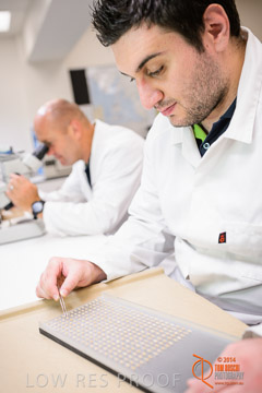 VITERRA 2013 / VITERRA_LABS_334