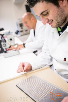 VITERRA 2013 / VITERRA_LABS_336