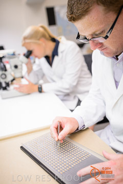 VITERRA 2013 / VITERRA_LABS_347