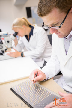 VITERRA 2013 / VITERRA_LABS_348