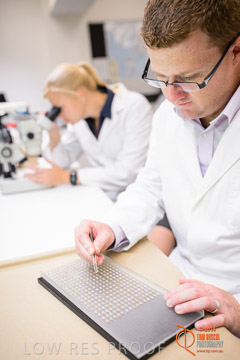 VITERRA 2013 / VITERRA_LABS_354