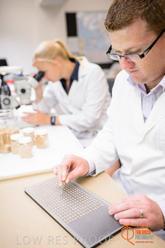 VITERRA 2013 / VITERRA_LABS_361