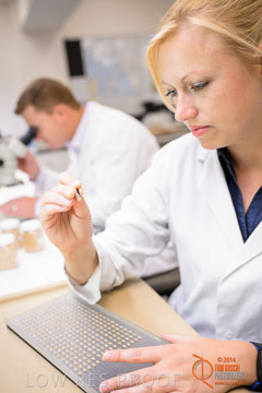 VITERRA 2013 / VITERRA_LABS_368