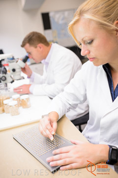 VITERRA 2013 / VITERRA_LABS_377