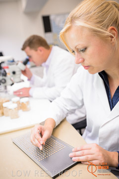 VITERRA 2013 / VITERRA_LABS_379