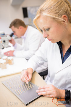 VITERRA 2013 / VITERRA_LABS_382