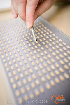 VITERRA 2013 / VITERRA_LABS_390