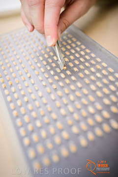 VITERRA 2013 / VITERRA_LABS_391