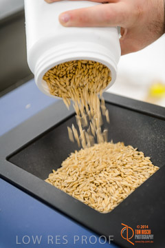 VITERRA 2013 / VITERRA_LABS_427