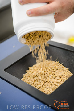 VITERRA 2013 / VITERRA_LABS_429