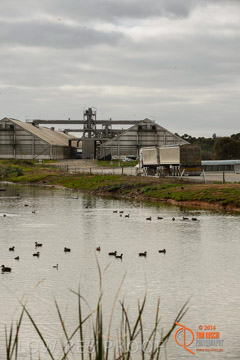 VITERRA 2013 / ROSEWORTHY_001_140617