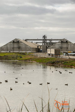 VITERRA 2013 / ROSEWORTHY_002_140617