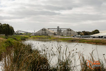 VITERRA 2013 / ROSEWORTHY_005_140617