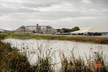 VITERRA 2013 / ROSEWORTHY_007_140617