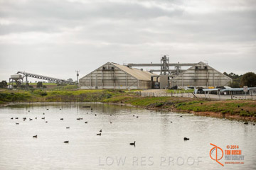 VITERRA 2013 / ROSEWORTHY_008_140617