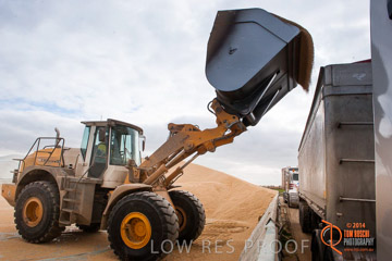 VITERRA 2013 / BUNKER_LOADER_011_140617