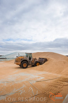 VITERRA 2013 / BUNKER_LOADER_014_140617