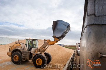 VITERRA 2013 / BUNKER_LOADER_015_140617