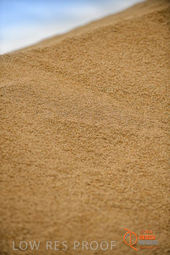 VITERRA 2013 / BUNKER_LOADER_026_140617