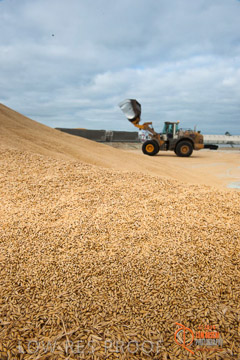 VITERRA 2013 / BUNKER_LOADER_030_140617