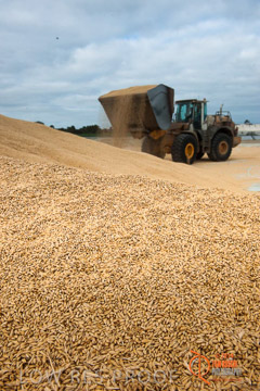 VITERRA 2013 / BUNKER_LOADER_033_140617