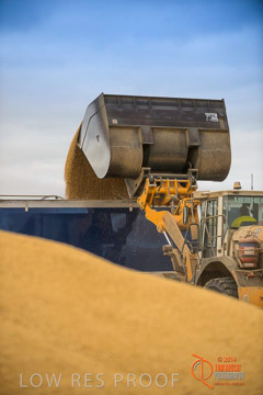 VITERRA 2013 / BUNKER_LOADER_035_140617