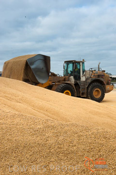VITERRA 2013 / BUNKER_LOADER_037_140617