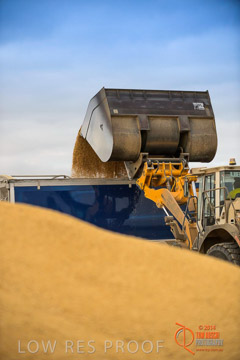 VITERRA 2013 / BUNKER_LOADER_039_140617