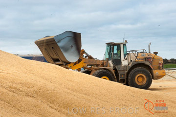 VITERRA 2013 / BUNKER_LOADER_043_140617