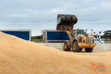VITERRA 2013 / BUNKER_LOADER_044_140617