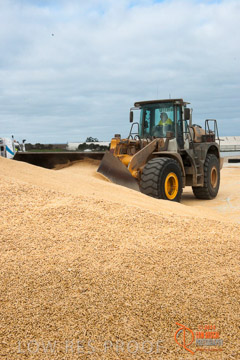 VITERRA 2013 / BUNKER_LOADER_047_140617