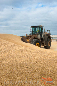 VITERRA 2013 / BUNKER_LOADER_048_140617