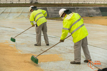 VITERRA 2013 / BUNKER_SWEEPING_001_140617