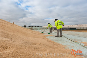 VITERRA 2013 / BUNKER_SWEEPING_003_140617