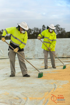 VITERRA 2013 / BUNKER_SWEEPING_004_140617