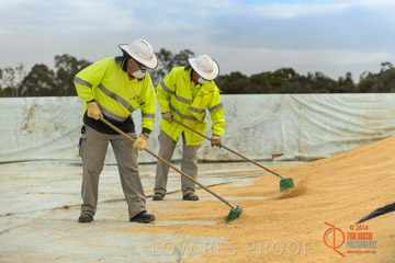 VITERRA 2013 / BUNKER_SWEEPING_008_140617