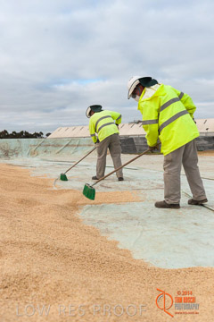 VITERRA 2013 / BUNKER_SWEEPING_015_140617