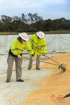 VITERRA 2013 / BUNKER_SWEEPING_017_140617