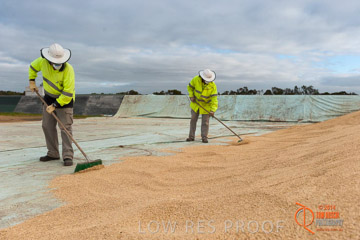 VITERRA 2013 / BUNKER_SWEEPING_018_140617