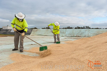 VITERRA 2013 / BUNKER_SWEEPING_019_140617