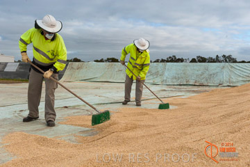 VITERRA 2013 / BUNKER_SWEEPING_020_140617